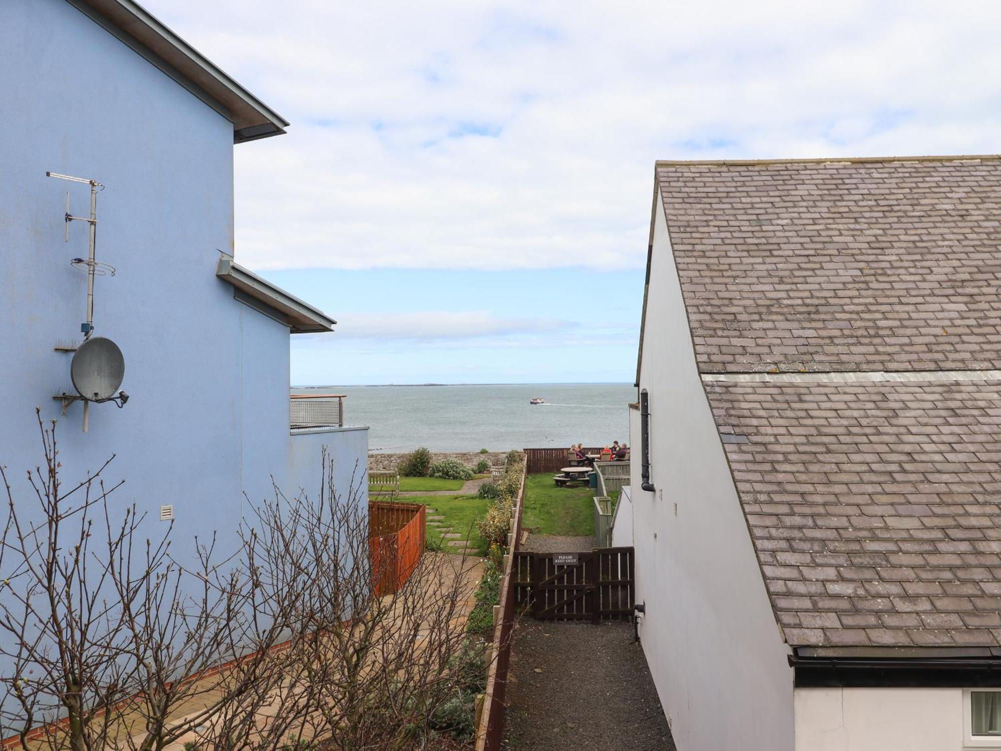 Puffin View Apartment Сихаузес Екстериор снимка